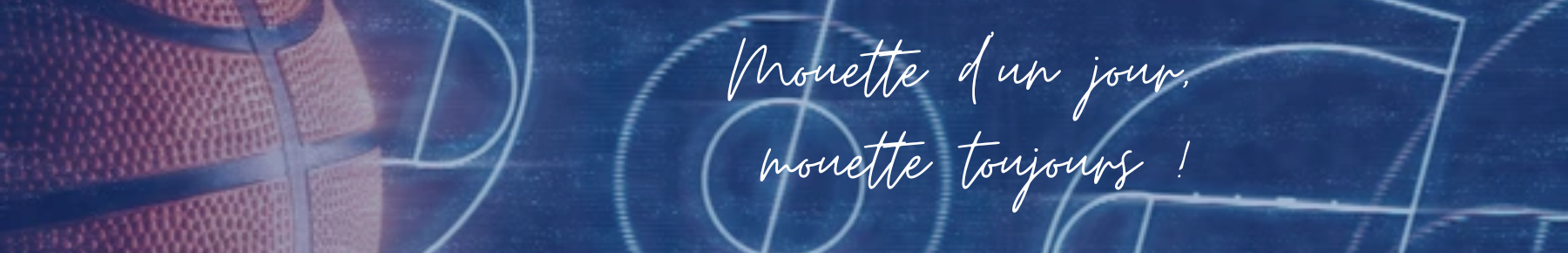 Bannière LES MOUETTES